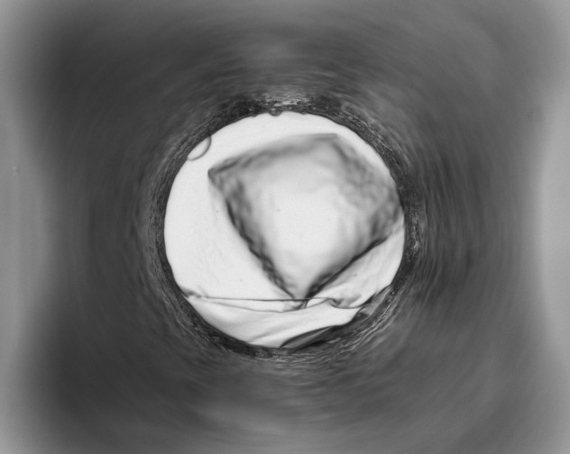 X0000093461393200711091541