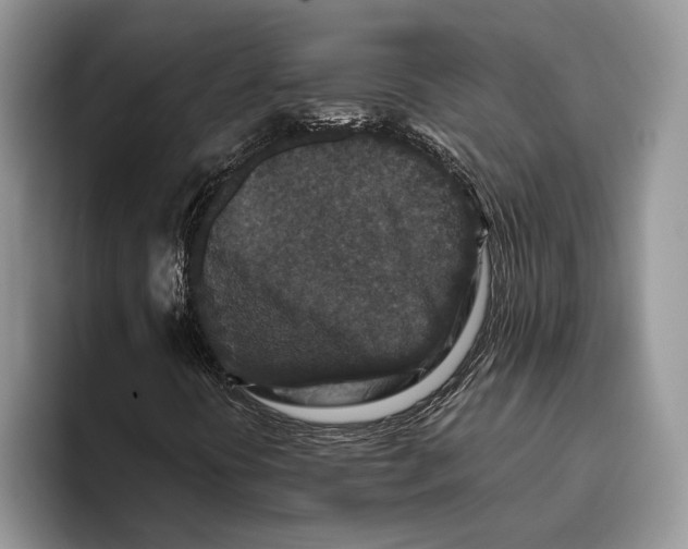 X0000093461394200711091541