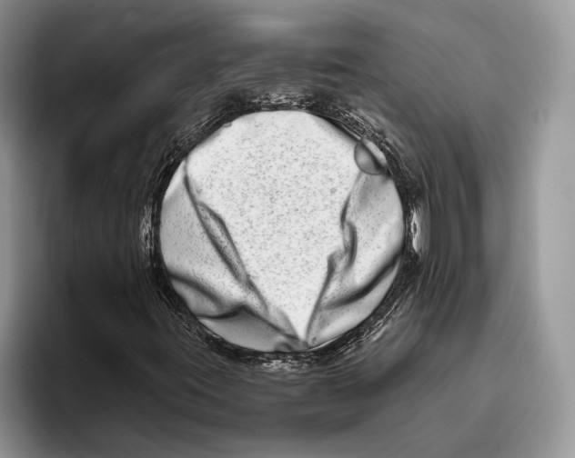 X0000093461395200711091541