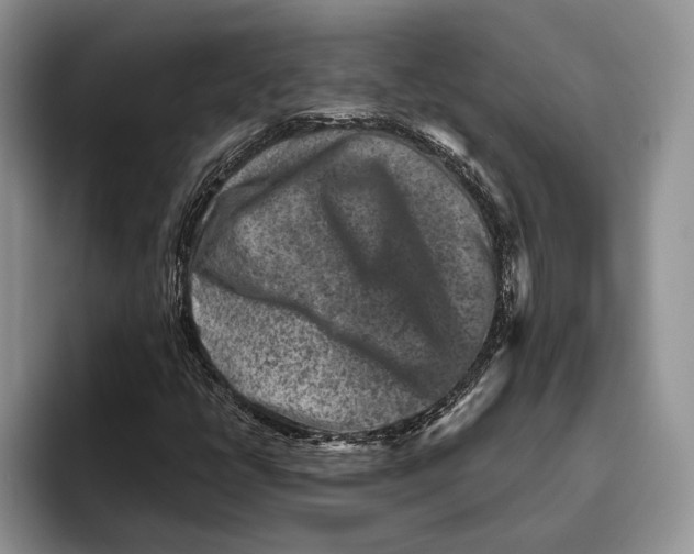 X0000093461398200711091541