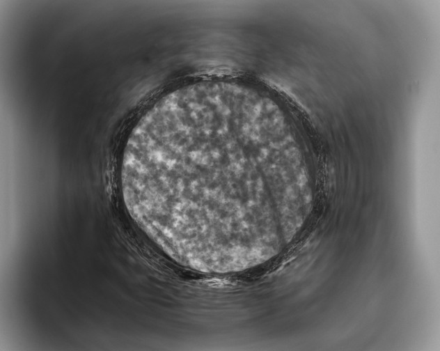 X0000093461399200711091541