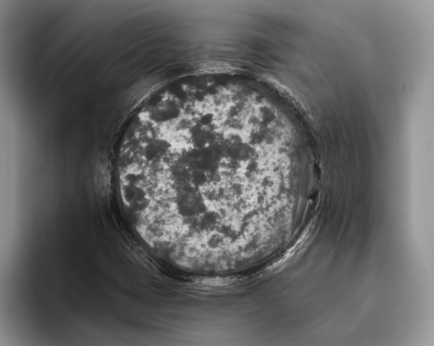 X0000093461401200711091541