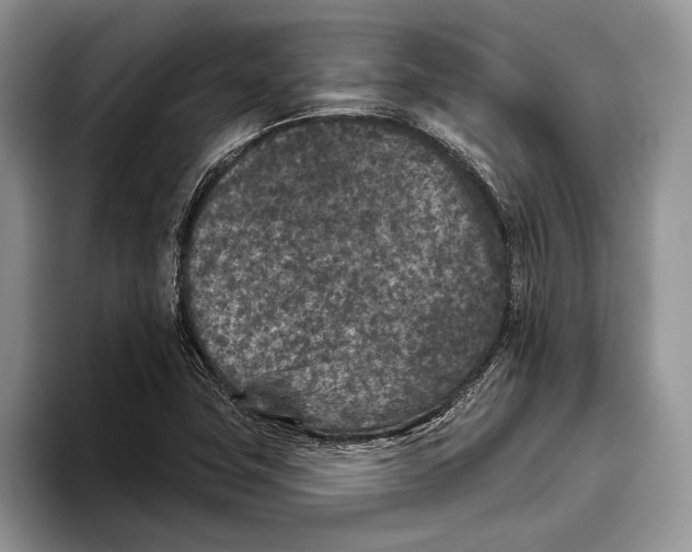 X0000093461411200711091541