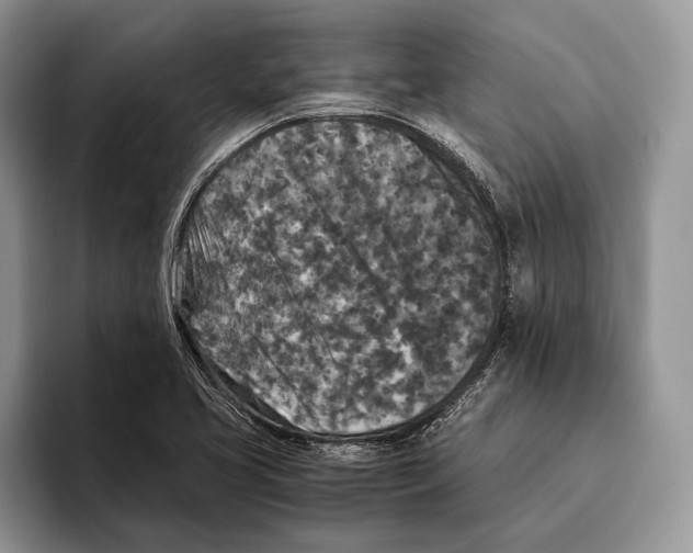 X0000093461413200711091541