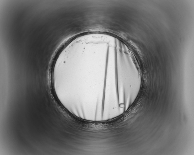 X0000093461416200711091541