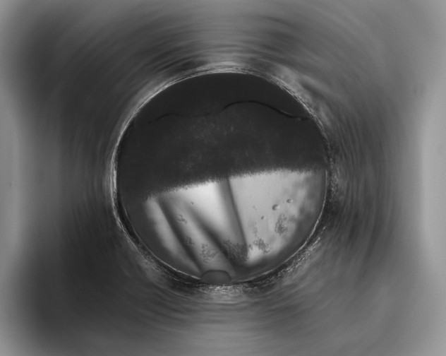 X0000093461418200711091541