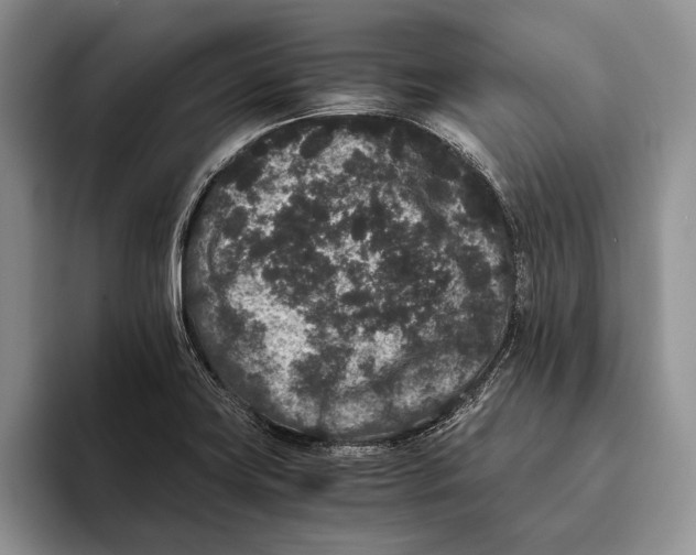 X0000093461419200711091541