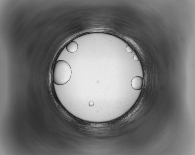 X0000093461420200711091541