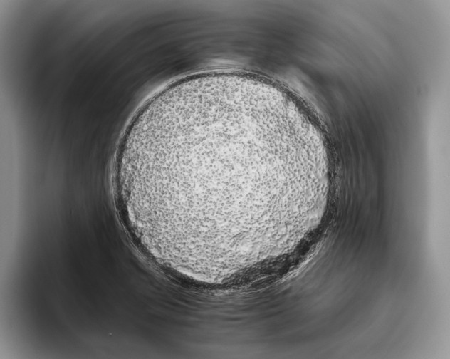 X0000093461421200711091541