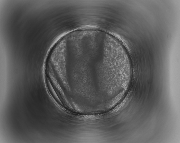 X0000093461422200711091541