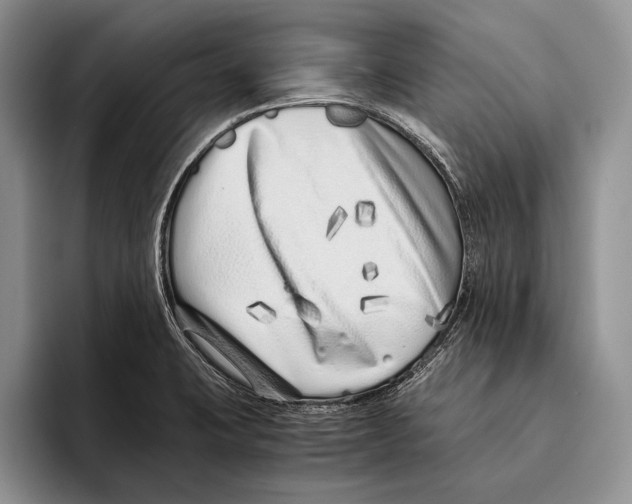X0000093461423200711091541