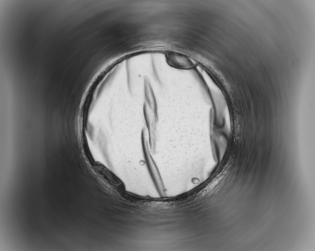 X0000093461424200711091541