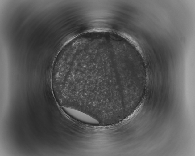 X0000093461425200711091541