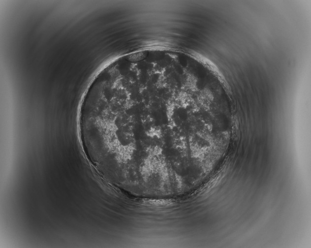 X0000093461427200711091541