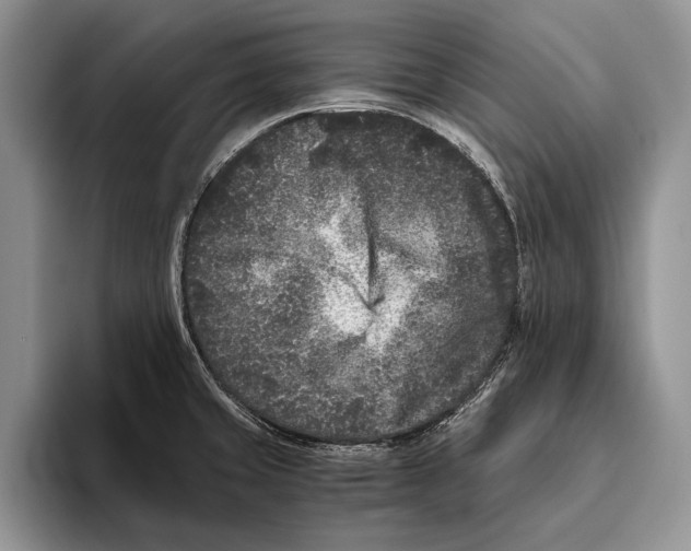 X0000093461429200711091541