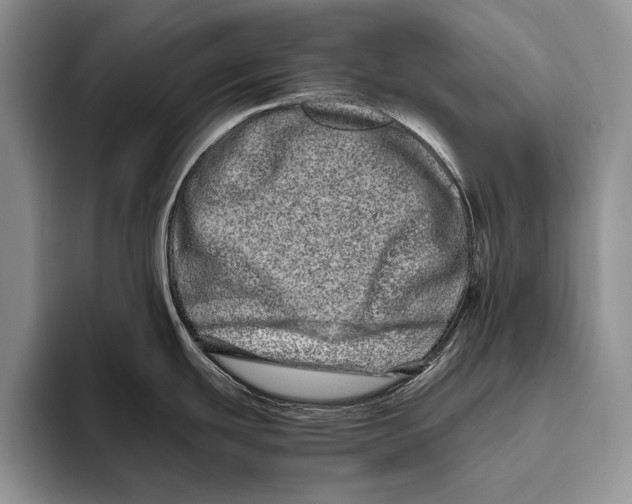 X0000093461439200711091541