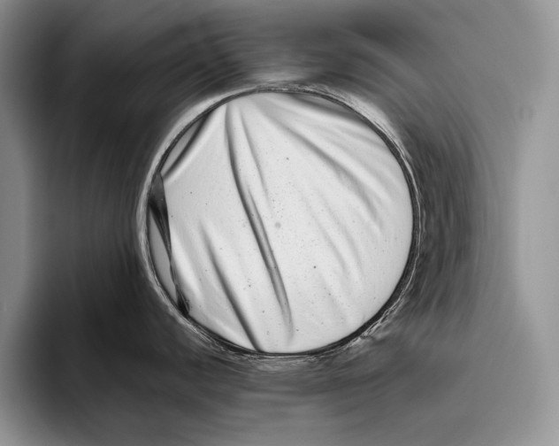 X0000093461440200711091541