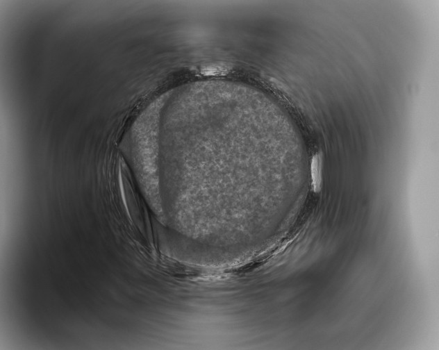 X0000093461443200711091541