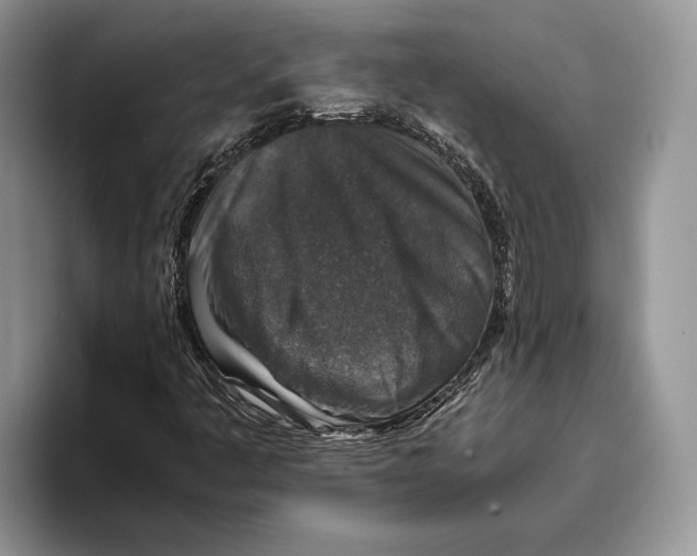 X0000093461445200711091541