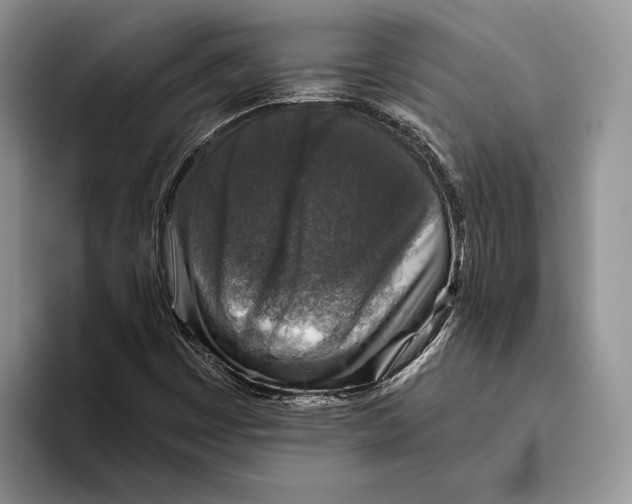 X0000093461449200711091541