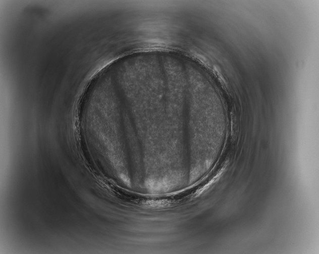 X0000093461453200711091540