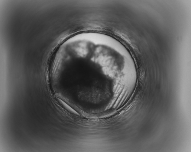 X0000093461455200711091540