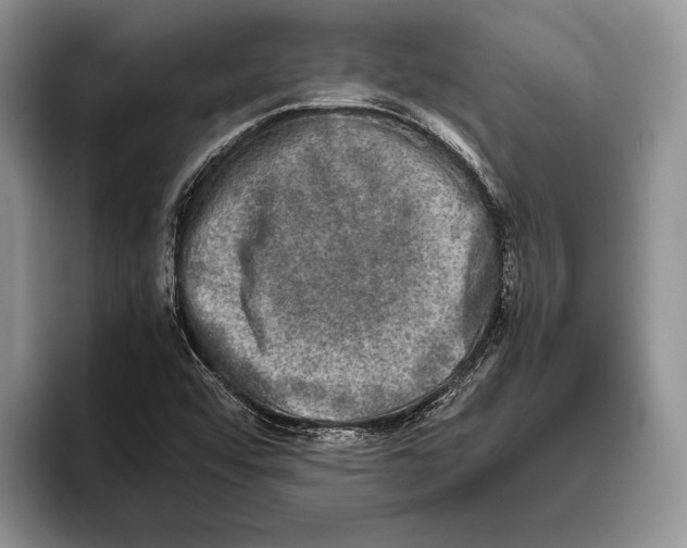 X0000093461456200711091540