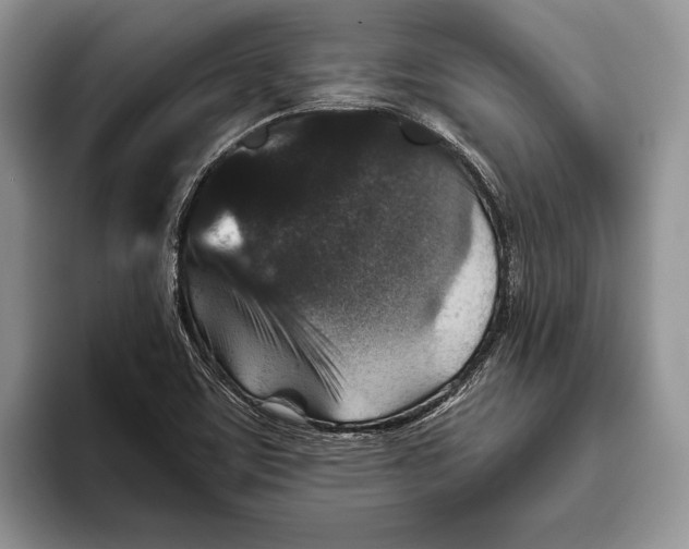 X0000093461459200711091540