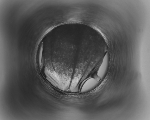 X0000093461461200711091540