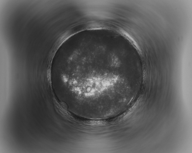 X0000093461465200711091540