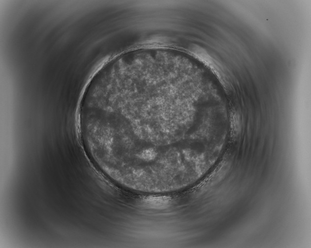 X0000093461466200711091540