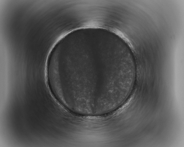 X0000093461469200711091540