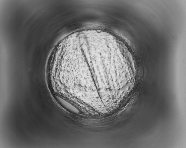 X0000093461471200711091540