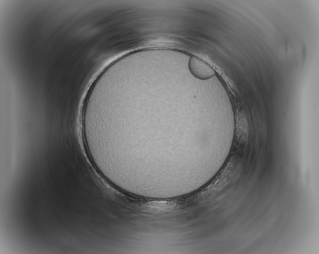 X0000093461478200711091540