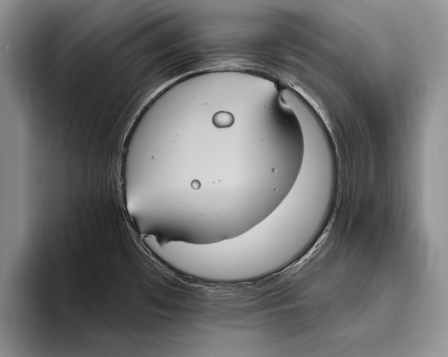 X0000093461481200711091540