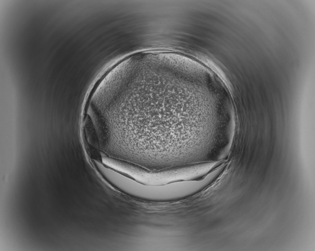 X0000093461485200711091540