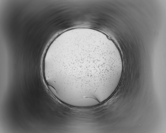 X0000093461488200711091540