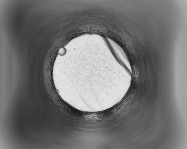 X0000093461489200711091540