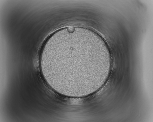 X0000093461498200711091540