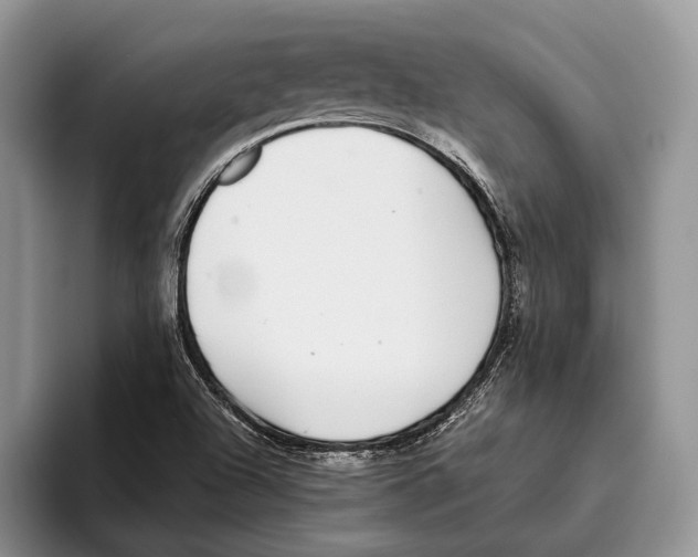 X0000093461504200711091540