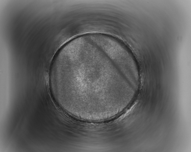 X0000093461505200711091540