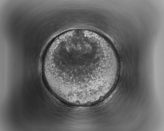 X0000093461506200711091540