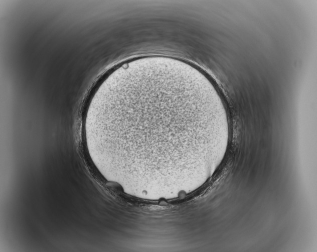 X0000093461507200711091540