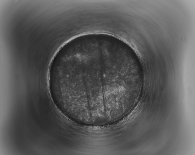 X0000093461508200711091540