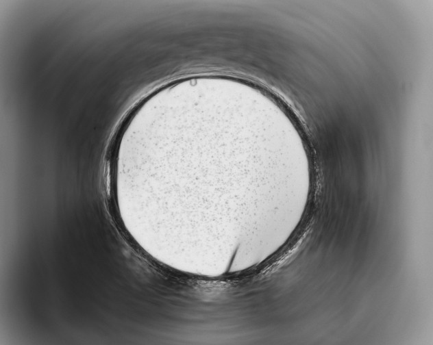 X0000093461509200711091540