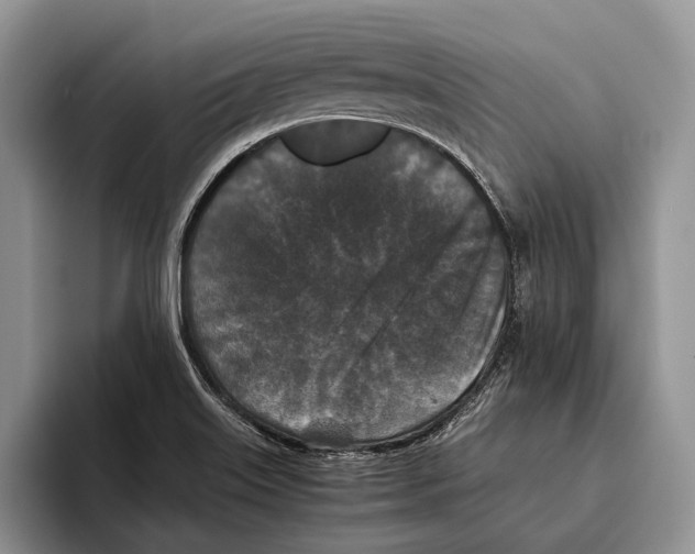 X0000093461515200711091540