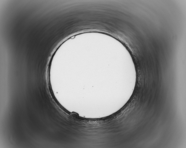 X0000093461516200711091540