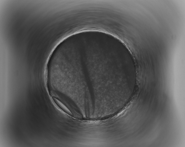 X0000093461519200711091540