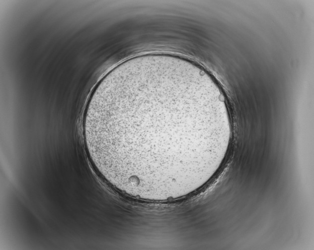 X0000093461521200711091540