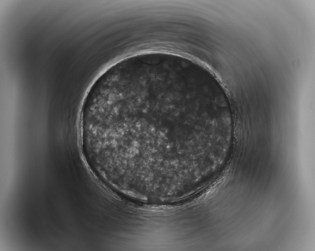 X0000093461522200711091540